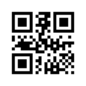 QR code 13333332