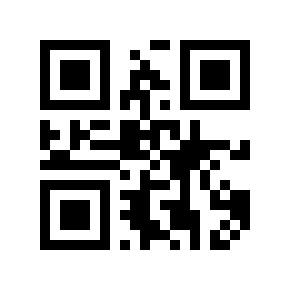 QR code 13333334