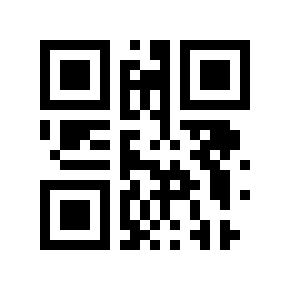 QR code 13333341
