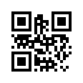 QR code 133455