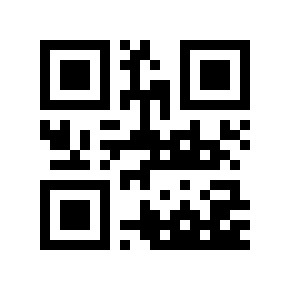 QR code 133696