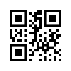 QR code 133711