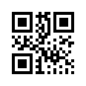 QR code 133728