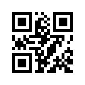 QR code 133856