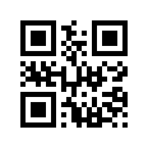 QR code 13569963