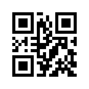 QR code 13696
