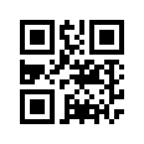 QR code 160069