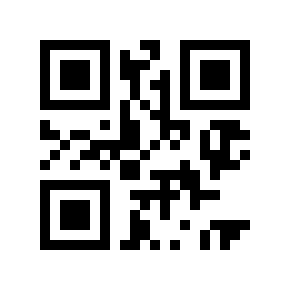 QR code 16101993