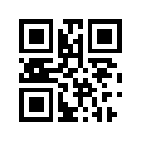 QR code 16121979