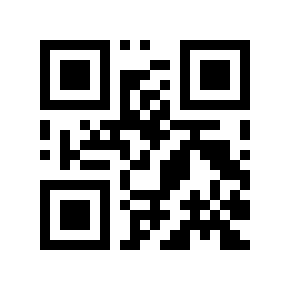 QR code 161676