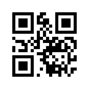 QR code 169728