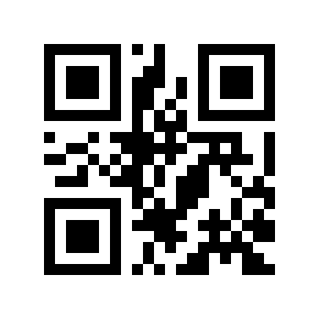 QR code 169924