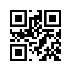 QR code 172569