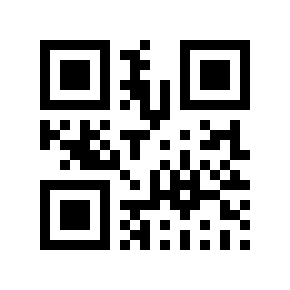 QR code 17290