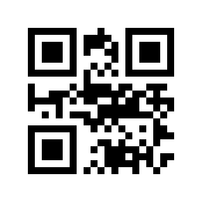 QR code 17409