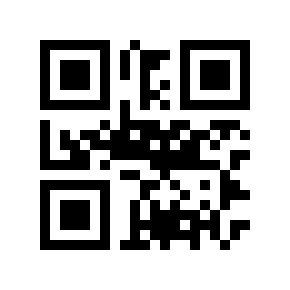 QR code 17629