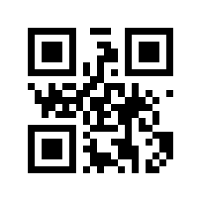 QR code 19101994