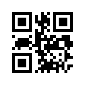 QR code 19133