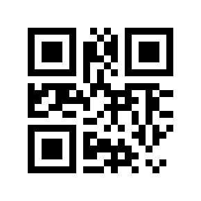 QR code 195863