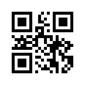 QR code 20101986