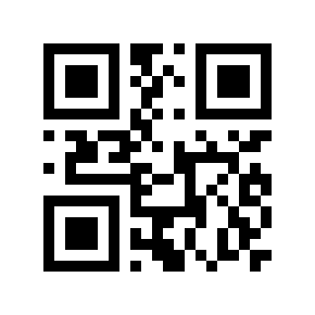 QR code 20101993