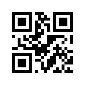 QR code 20101994
