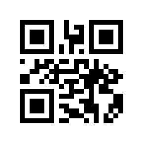 QR code 20102013