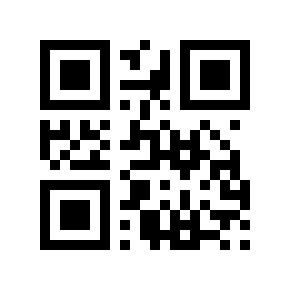 QR code 20102029