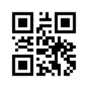QR code 2010206