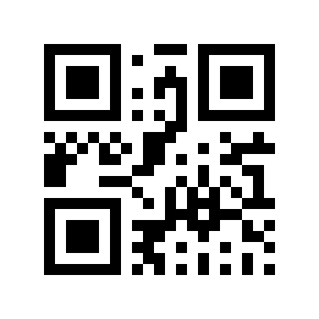 QR code 20295