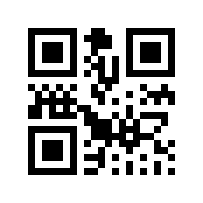 QR code 210533