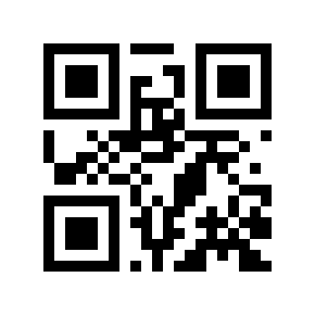 QR code 211028