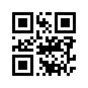 QR code 213581