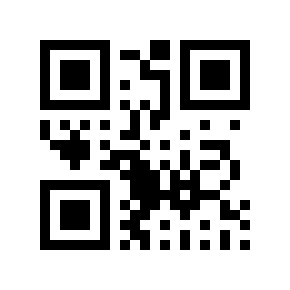 QR code 217381