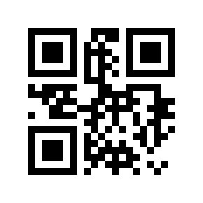 QR code 220017