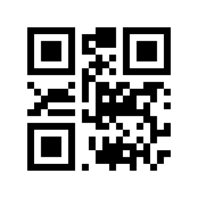 QR code 224313