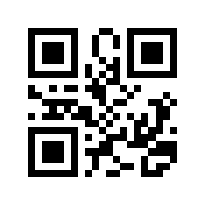 QR code 228355