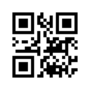 QR code 228507