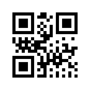 QR code 233453