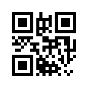 QR code 234324
