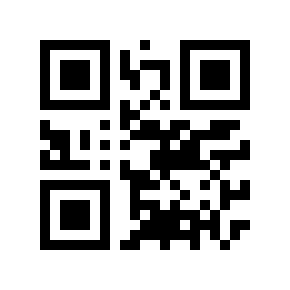 QR code 250407