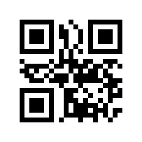 QR code 256213