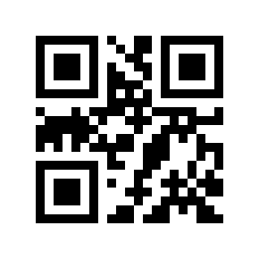 QR code 256304