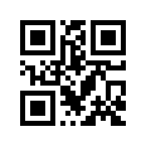 QR code 256343