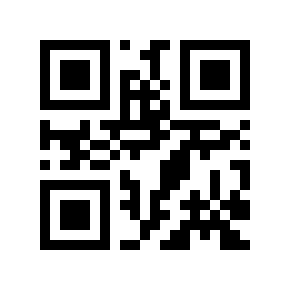 QR code 266155