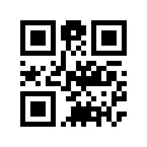 QR code 266602