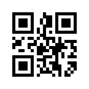QR code 2666655