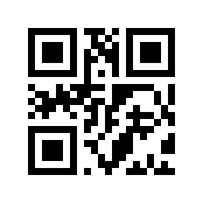 QR code 28122013