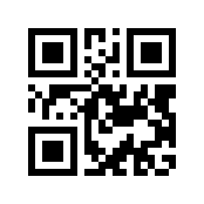 QR code 285029