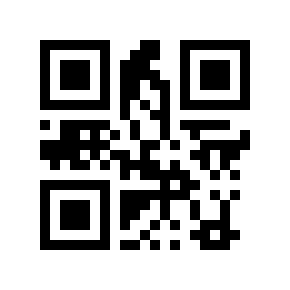 QR code 2869